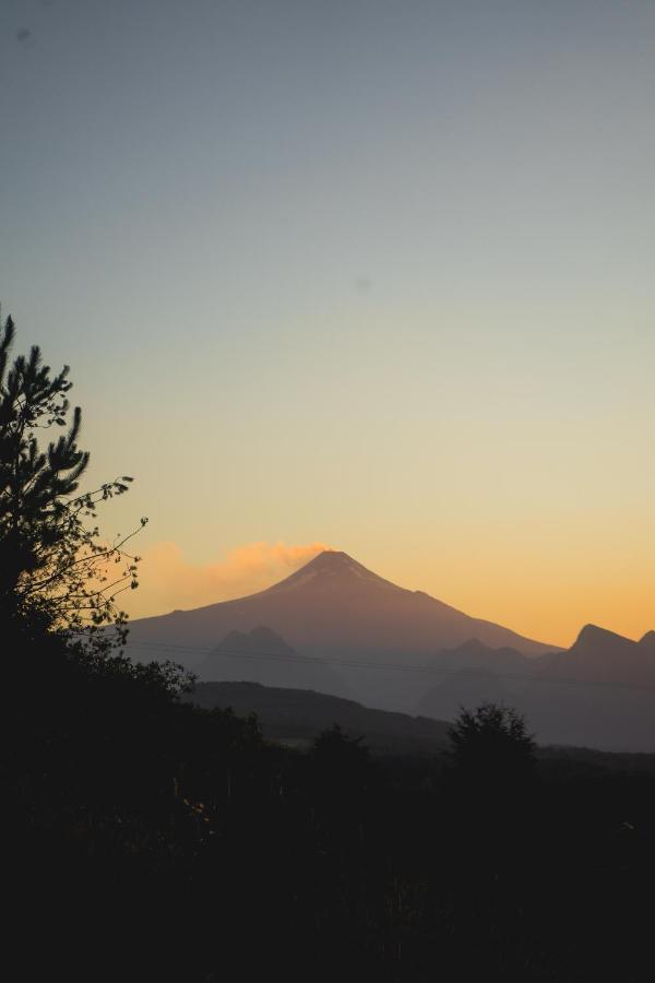 Nidos Del Alma * Pucón